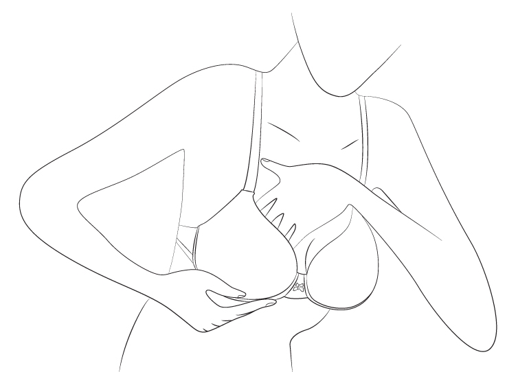 How to Wear a Bridal Bra Step 2